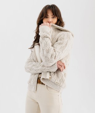 Gilet zippé à capuche en grosse maille torsadée et doublure sherpa femme - LuluCastagnette vue5 - LULUCASTAGNETTE - GEMO