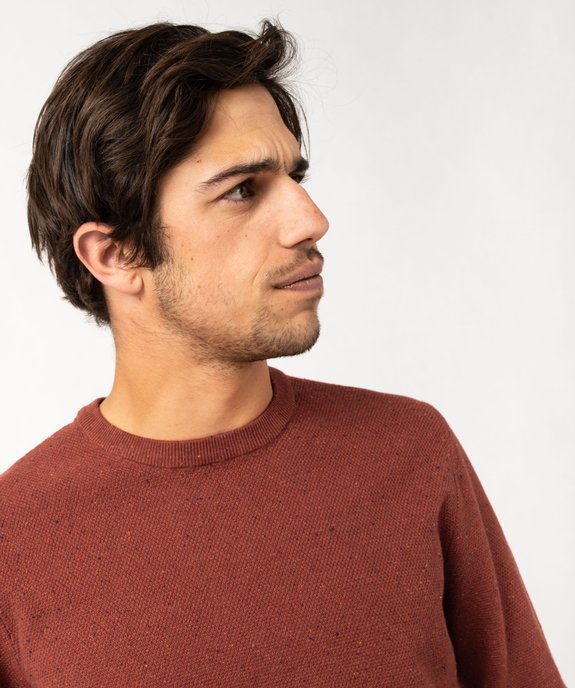 Pull en maille fine mouchetée homme vue5 - GEMO (HOMME) - GEMO