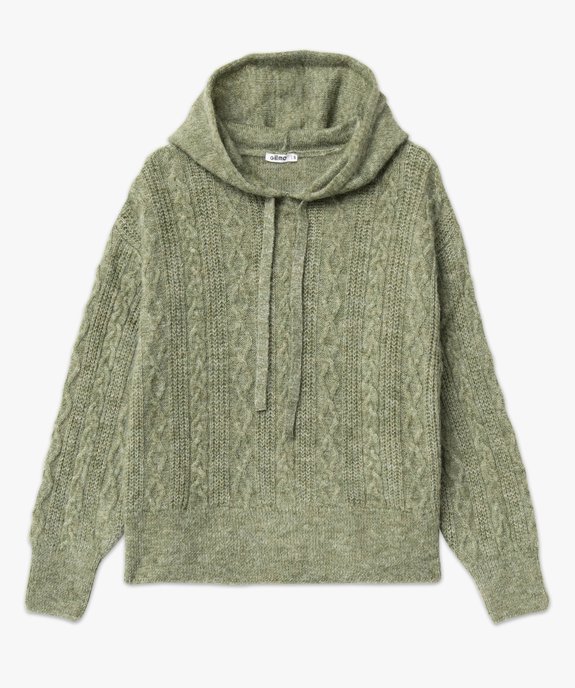 Pull à capuche à torsades femme vue4 - GEMO(FEMME PAP) - GEMO