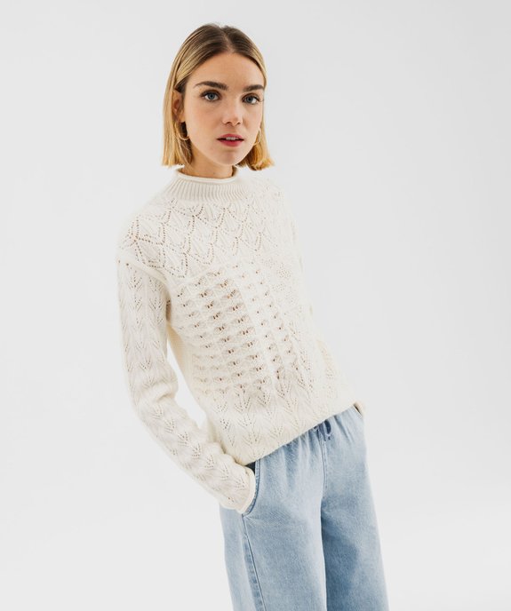 Pull en maille fantaisie ajourée finitions roulottées femme vue1 - GEMO(FEMME PAP) - GEMO