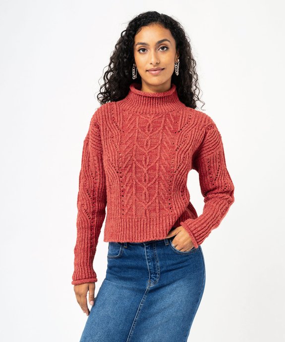 Pull courte en grosse maille fantaisie femme vue1 - GEMO(FEMME PAP) - GEMO