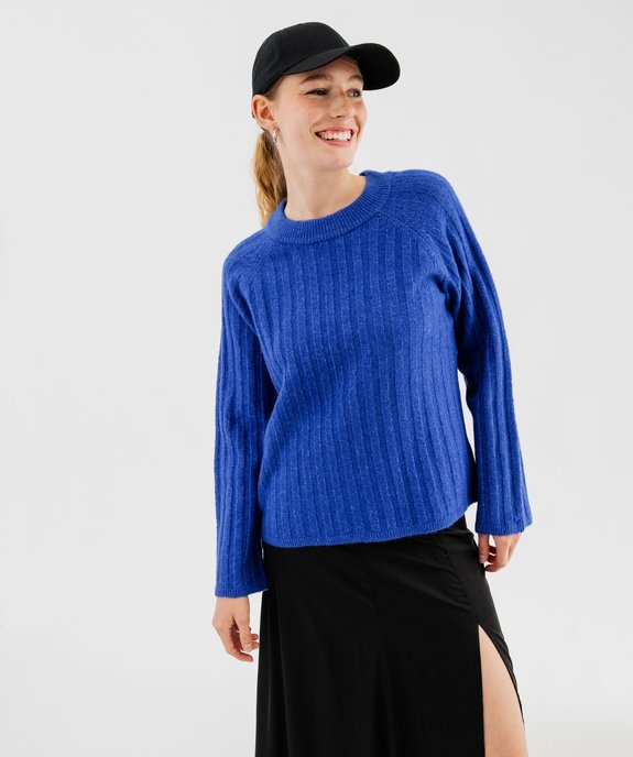 Pull grosses côtes à emmanchures raglan femme vue2 - GEMO(FEMME PAP) - GEMO