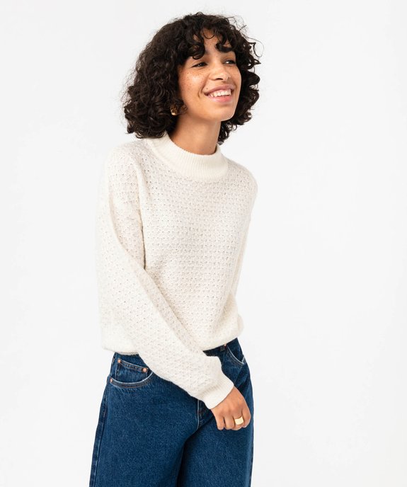 Pull à col rond en maille fantaisie femme vue1 - GEMO(FEMME PAP) - GEMO