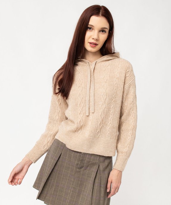 Pull à capuche à torsades femme vue1 - GEMO(FEMME PAP) - GEMO