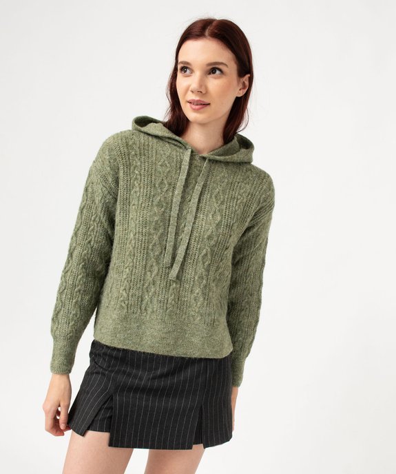 Pull à capuche à torsades femme vue1 - GEMO(FEMME PAP) - GEMO